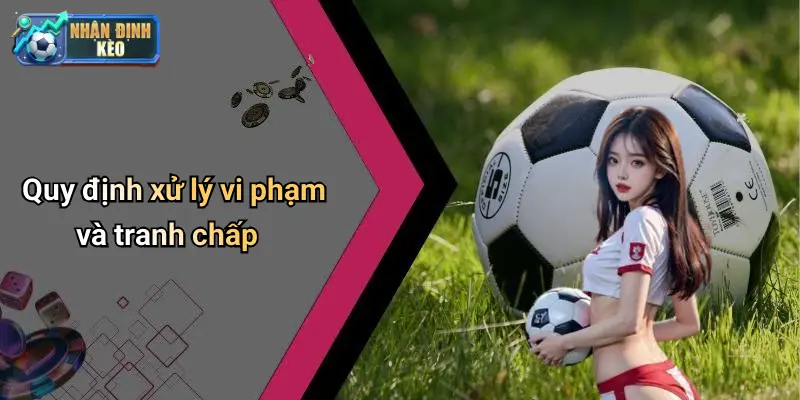 Quy định xử lý vi phạm và tranh chấp