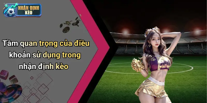 Tầm quan trọng của điều khoản sử dụng trong nhận định kèo