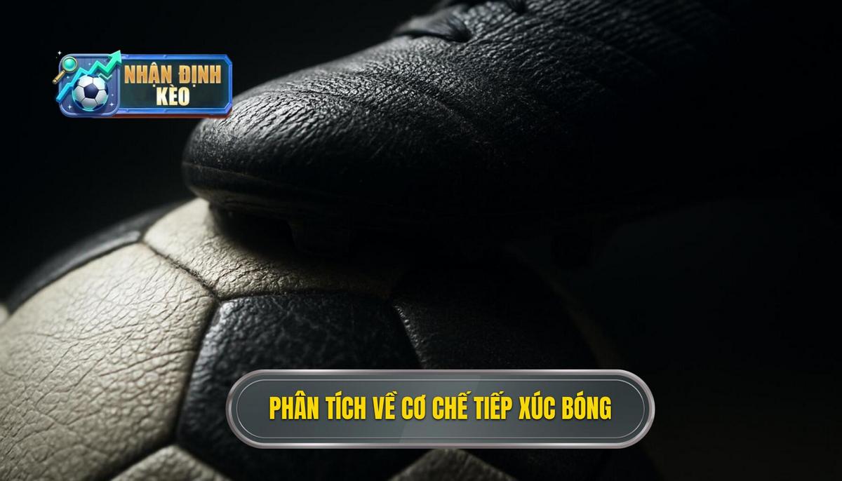 Phân Tích Chuyên Sâu Về Cơ Chế Tiếp Xúc Bóng
