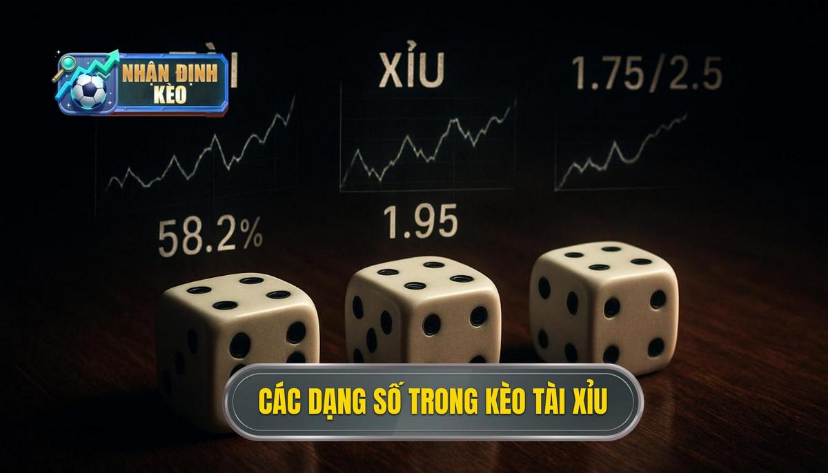 Các dạng con số phổ biến trong kèo tài xỉu cả trận