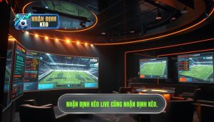 Nhận định kèo live trận đấu: Nghệ thuật đọc vị bảng kèo khi bóng đang lăn